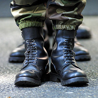 forsvaret