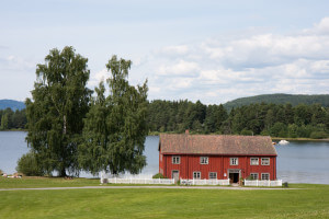 Trives hedmarkinger like  godt som opplendinger, spør forskere?