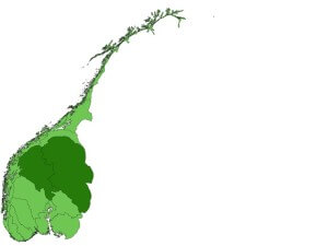 Over 4 av 10 tømmerstokker som ble hogd i Norge kom fra Hedmark og Oppland.  Kart: Kjell Overvåg